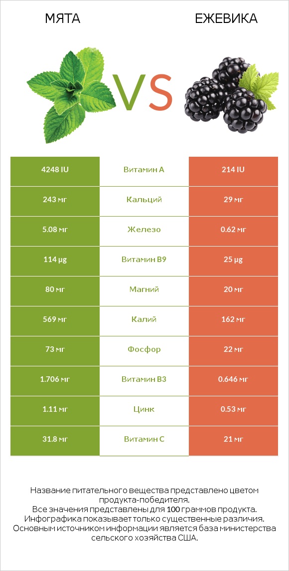 Мята vs Ежевика infographic