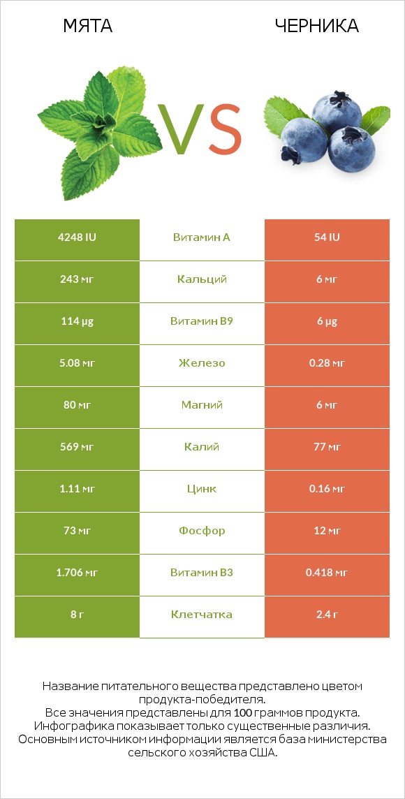 Мята vs Черника infographic