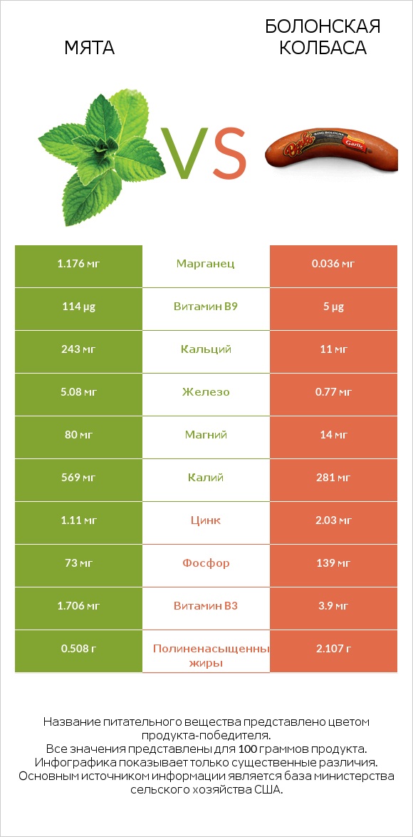 Мята vs Болонская колбаса infographic