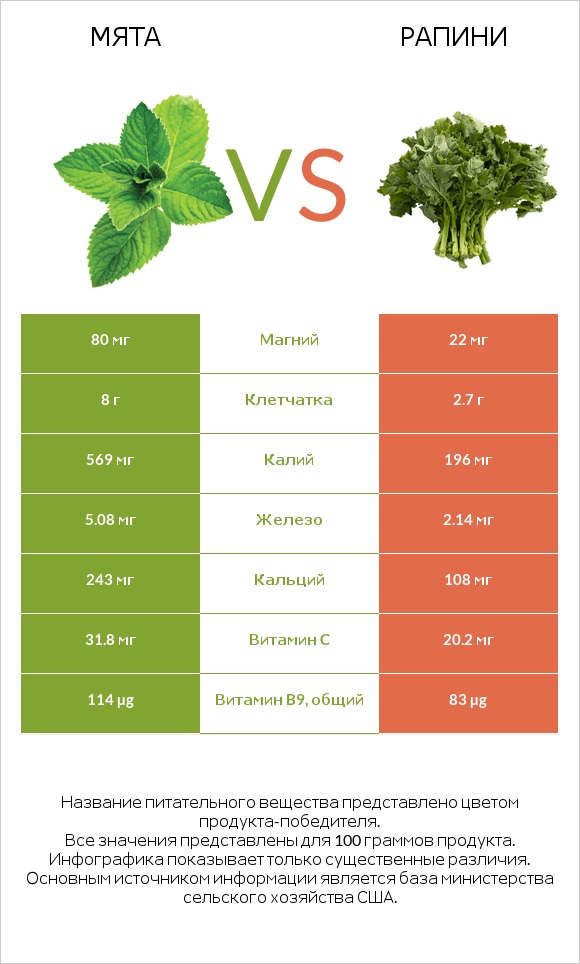 Мята vs Рапини infographic