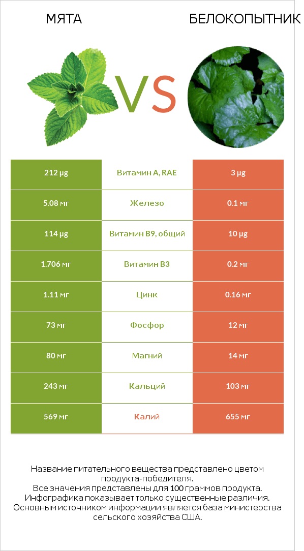 Мята vs Белокопытник infographic