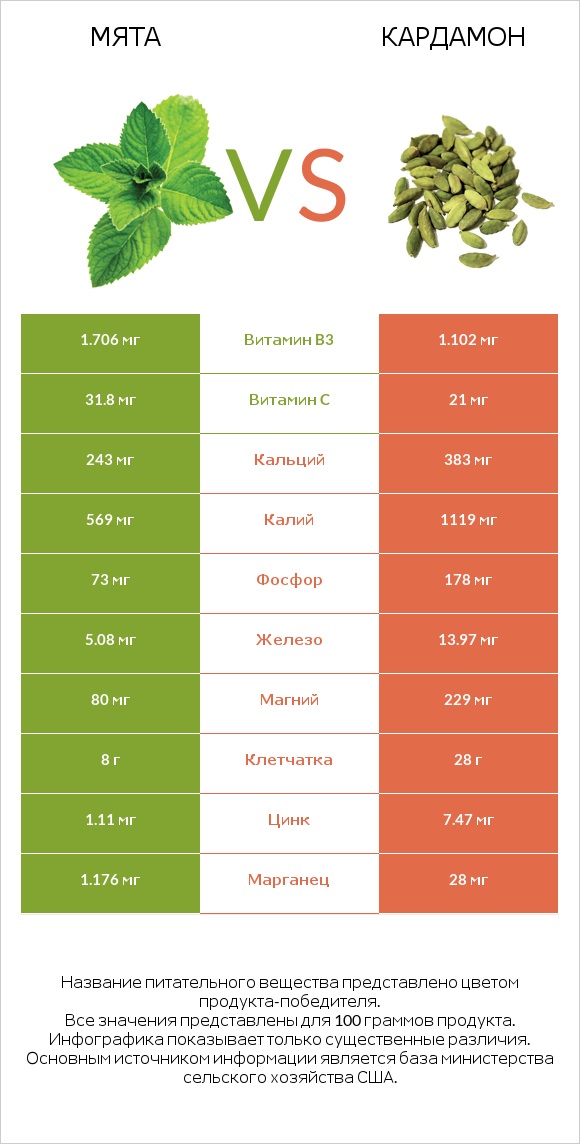 Мята vs Кардамон infographic