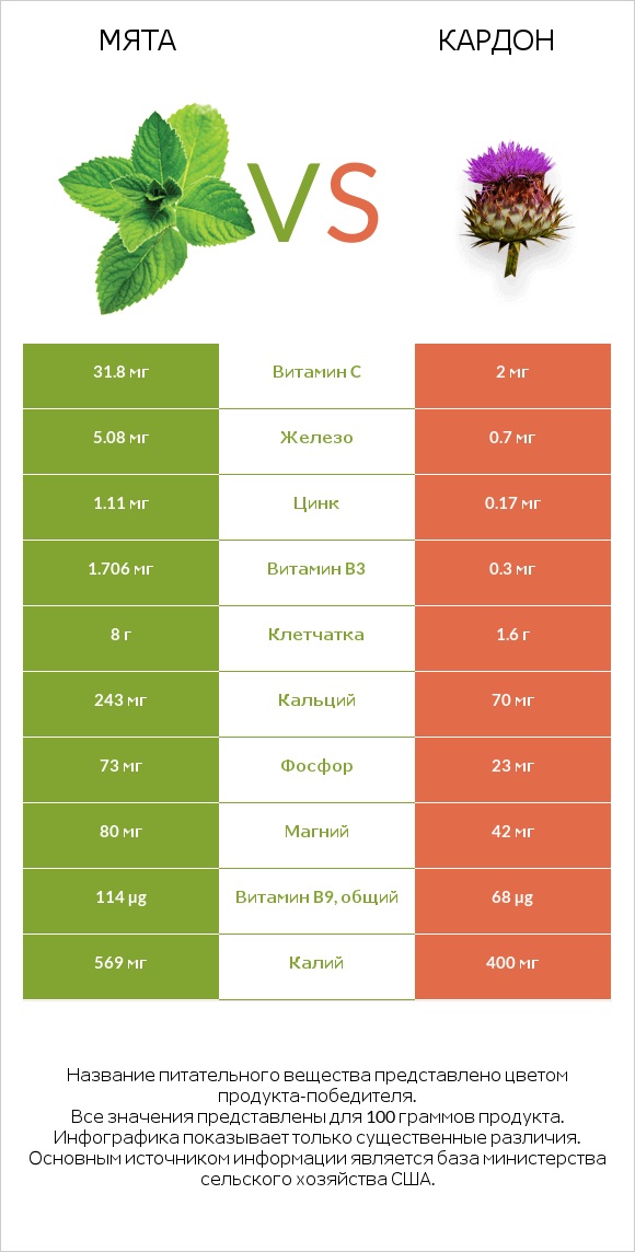 Мята vs Кардон infographic