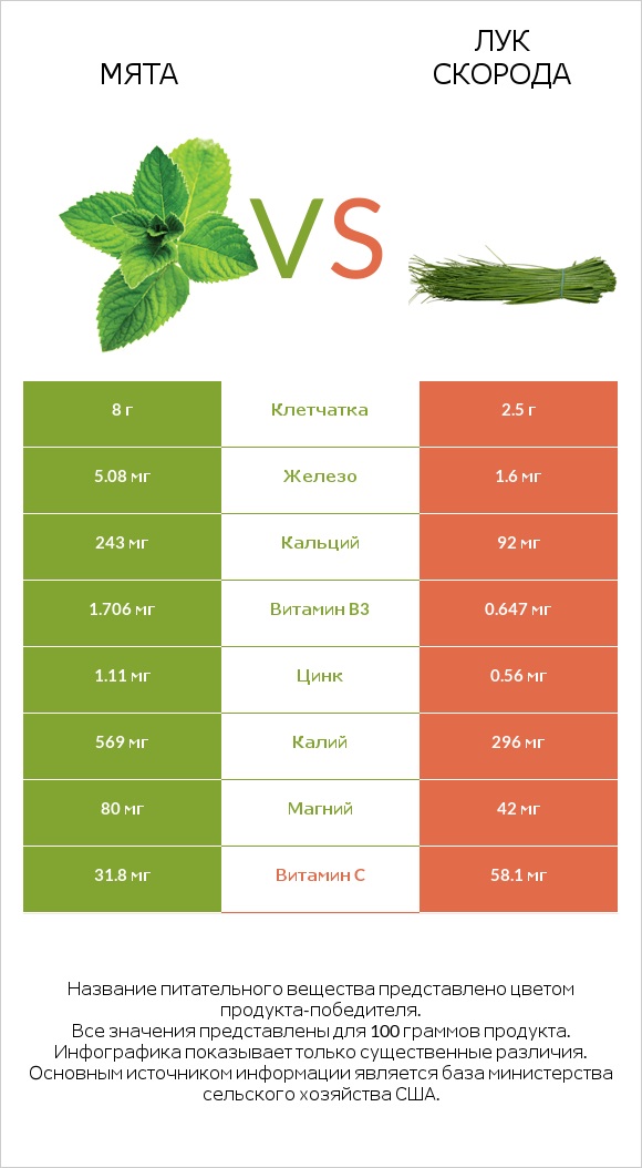 Мята vs Лук скорода infographic