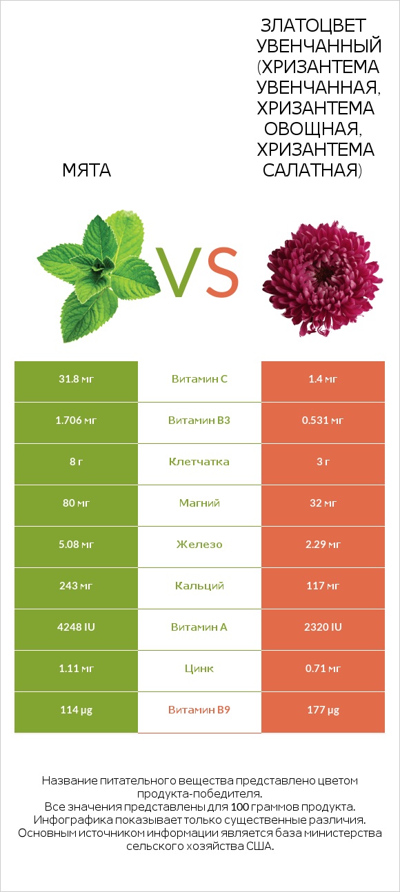 Мята vs Златоцвет увенчанный (хризантема увенчанная, хризантема овощная, хризантема салатная) infographic