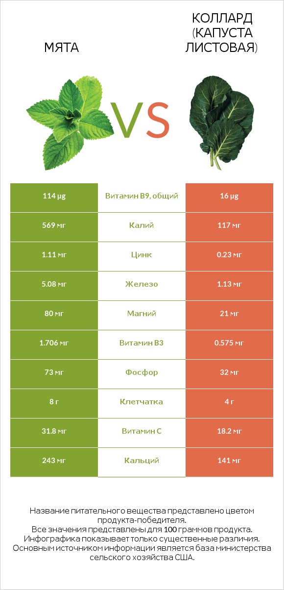 Мята vs Коллард (капуста листовая) infographic