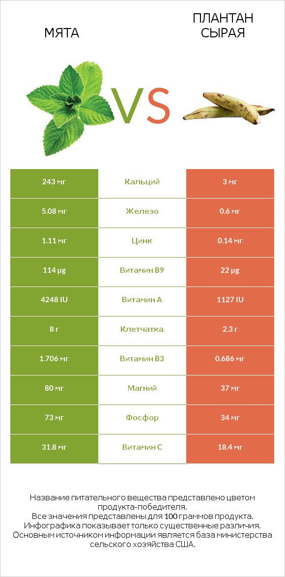 Мята vs Плантан сырая infographic