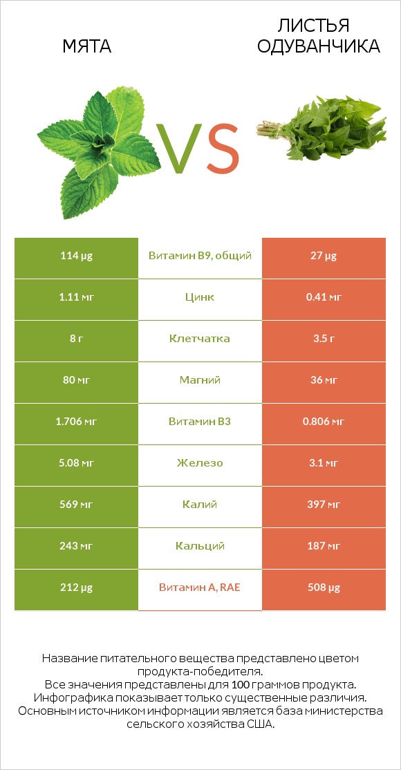 Мята vs Листья одуванчика infographic