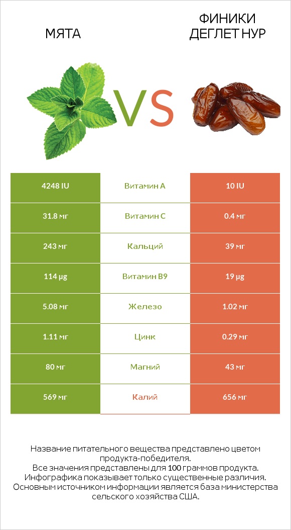 Мята vs Финики деглет нур infographic