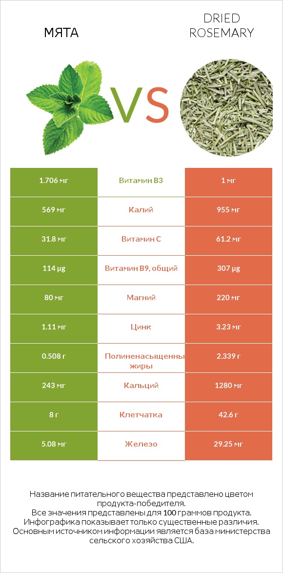 Мята vs Dried rosemary infographic