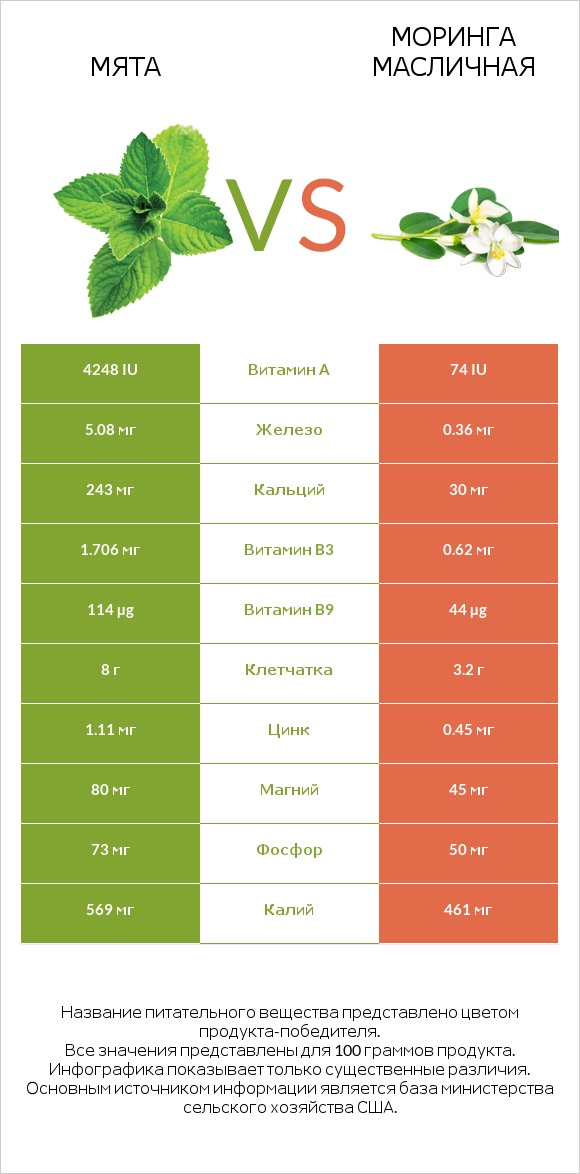 Мята vs Моринга масличная infographic