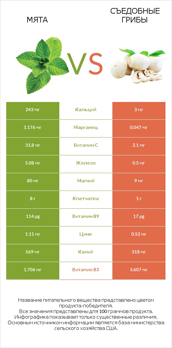 Мята vs Съедобные грибы infographic