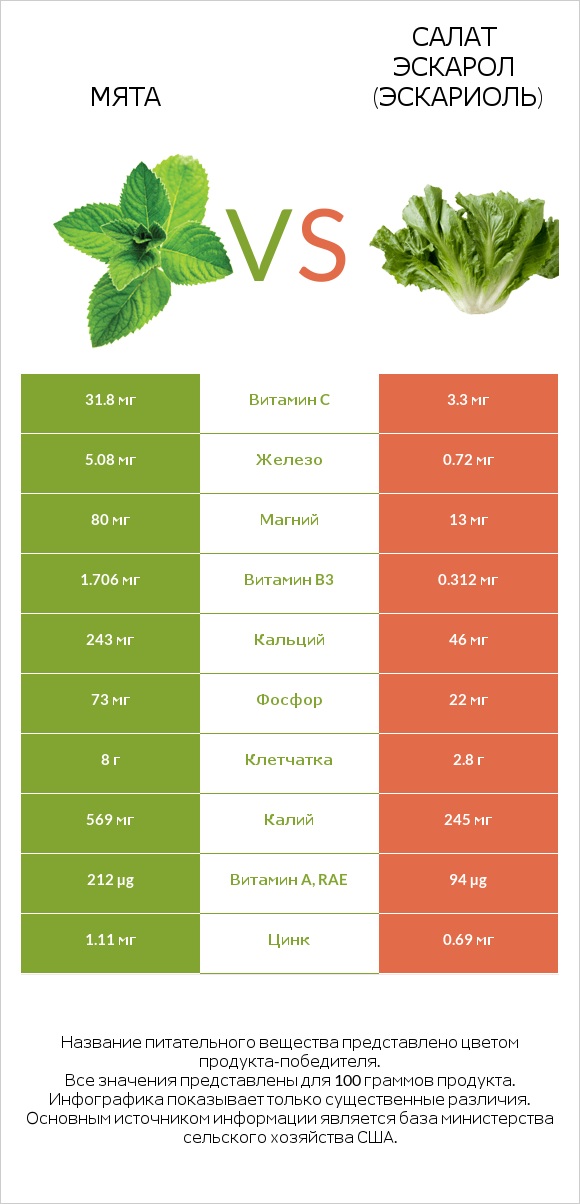 Мята vs Салат Эскарол (эскариоль) infographic