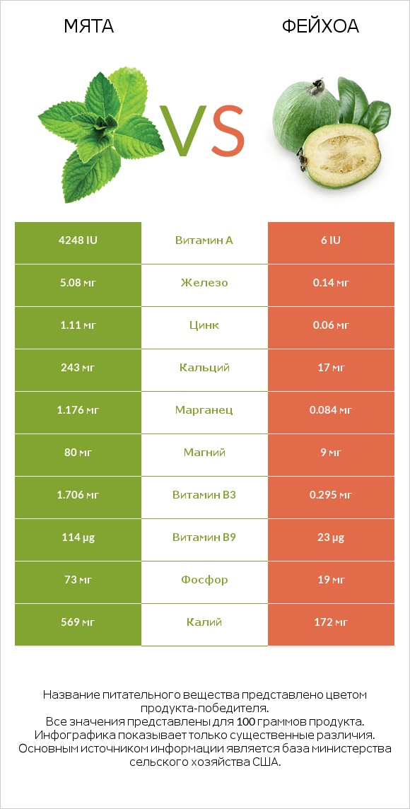 Мята vs Фейхоа infographic