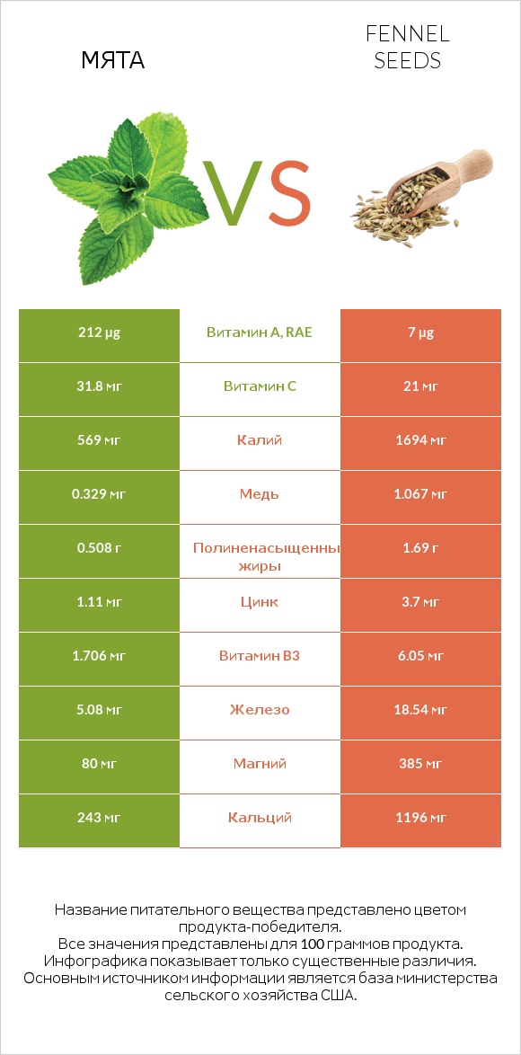Мята vs Fennel seeds infographic