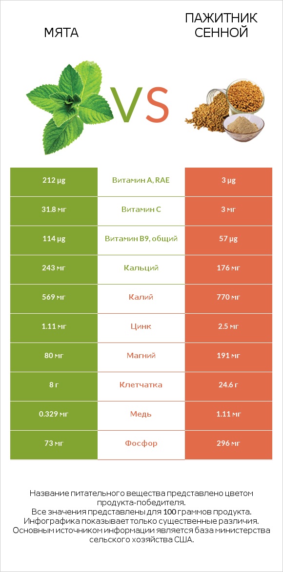 Мята vs Пажитник сенной infographic