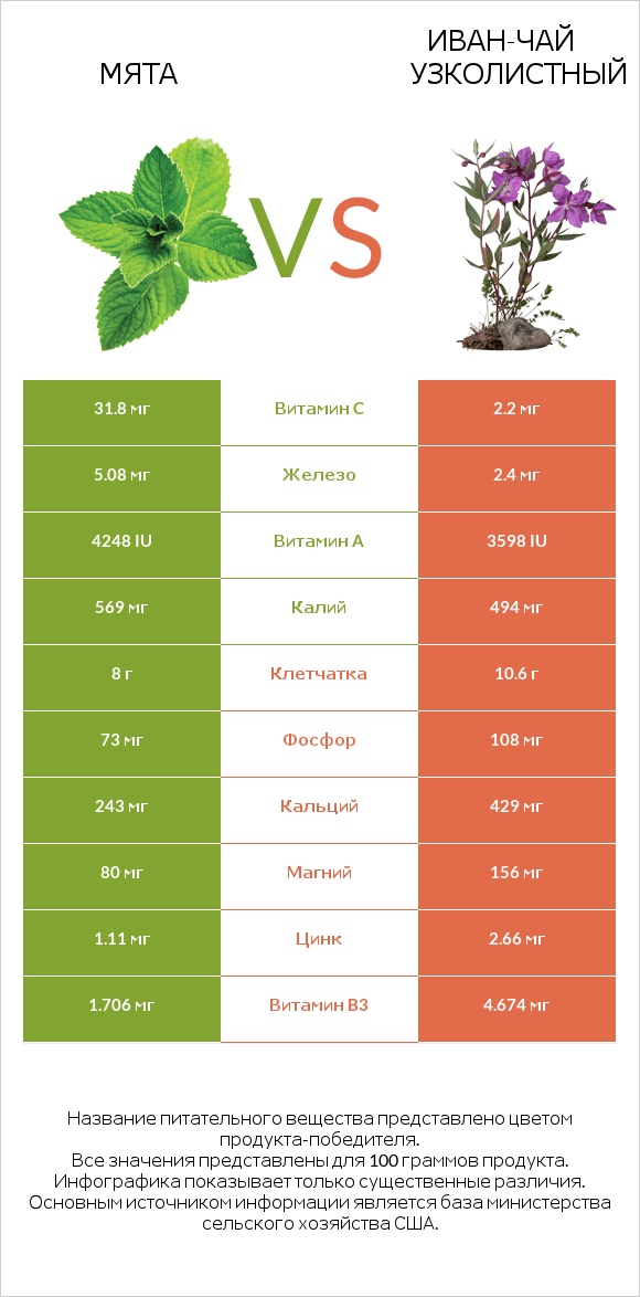 Мята vs Иван-чай узколистный infographic
