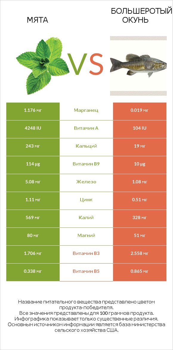 Мята vs Большеротый окунь infographic