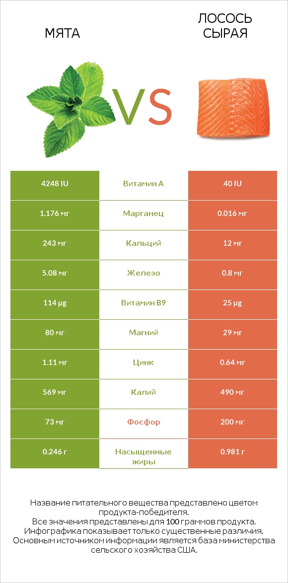 Мята vs Лосось сырая infographic