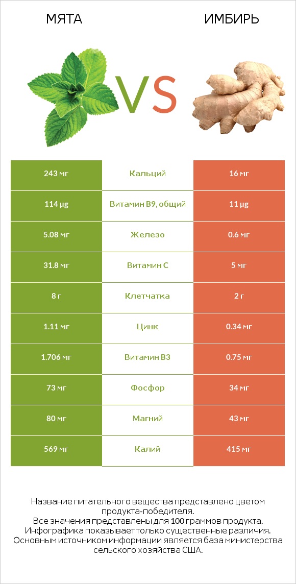 Мята vs Имбирь обыкновенный infographic