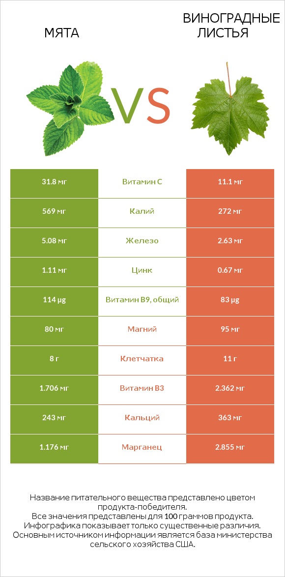 Мята vs Виноградные листья infographic