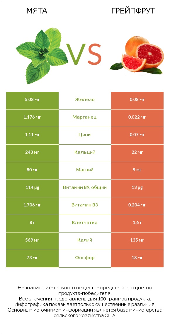 Мята vs Грейпфрут infographic