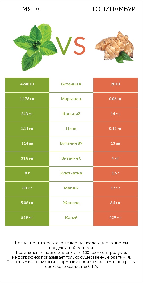 Мята vs Топинамбур infographic