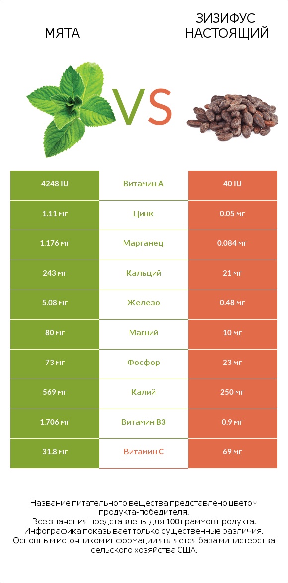 Мята vs Зизифус настоящий infographic