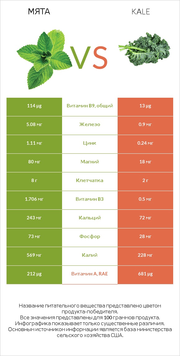 Мята vs Кудрявая капуста (кале, грюнколь, браунколь) infographic