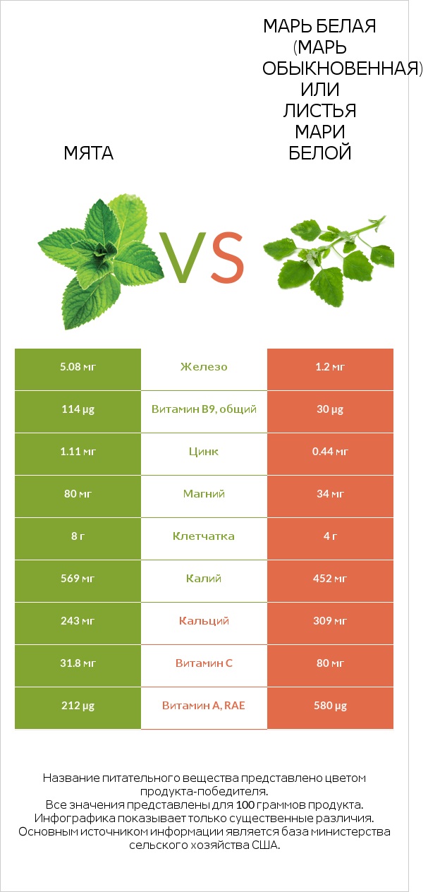 Мята vs Марь белая (Марь обыкновенная) или Листья мари белой infographic