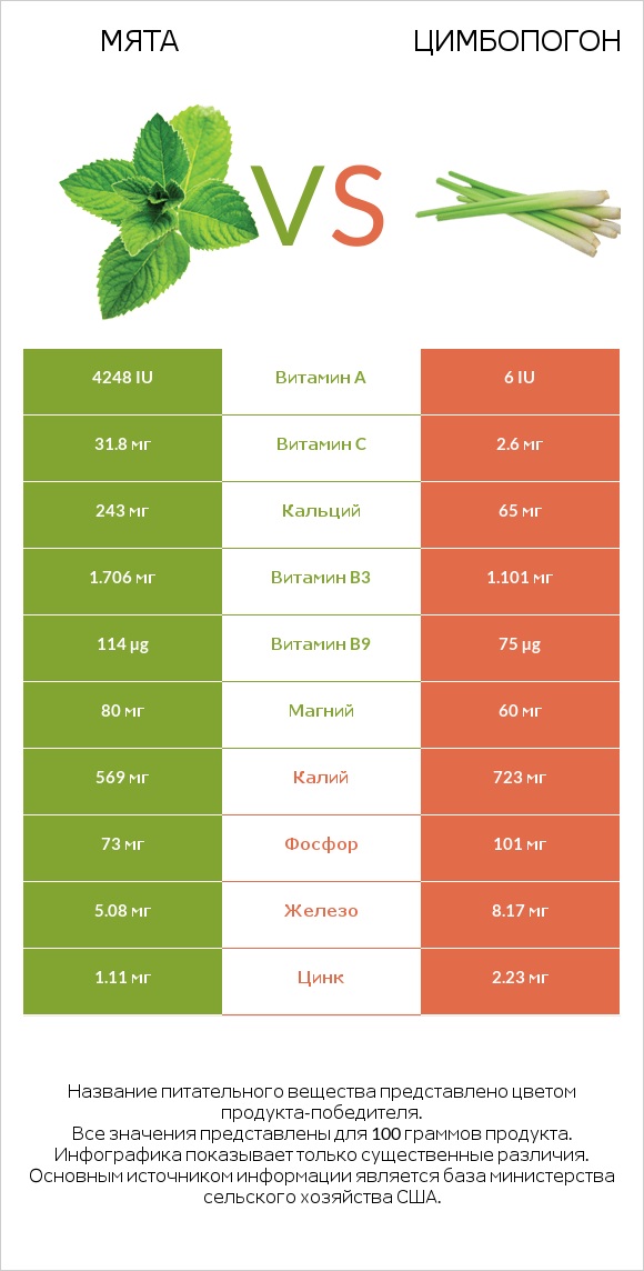 Мята vs Цимбопогон infographic