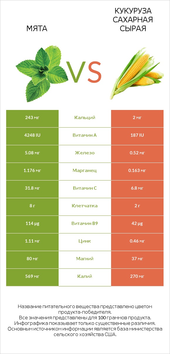 Мята vs Кукуруза сахарная сырая infographic