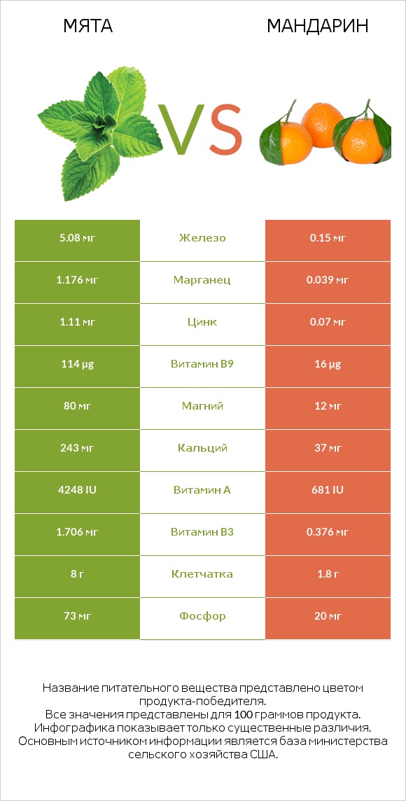 Мята vs Мандарин infographic