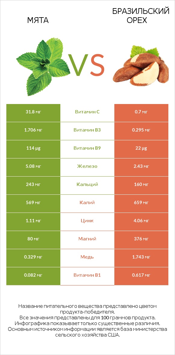 Мята vs Бразильский орех infographic