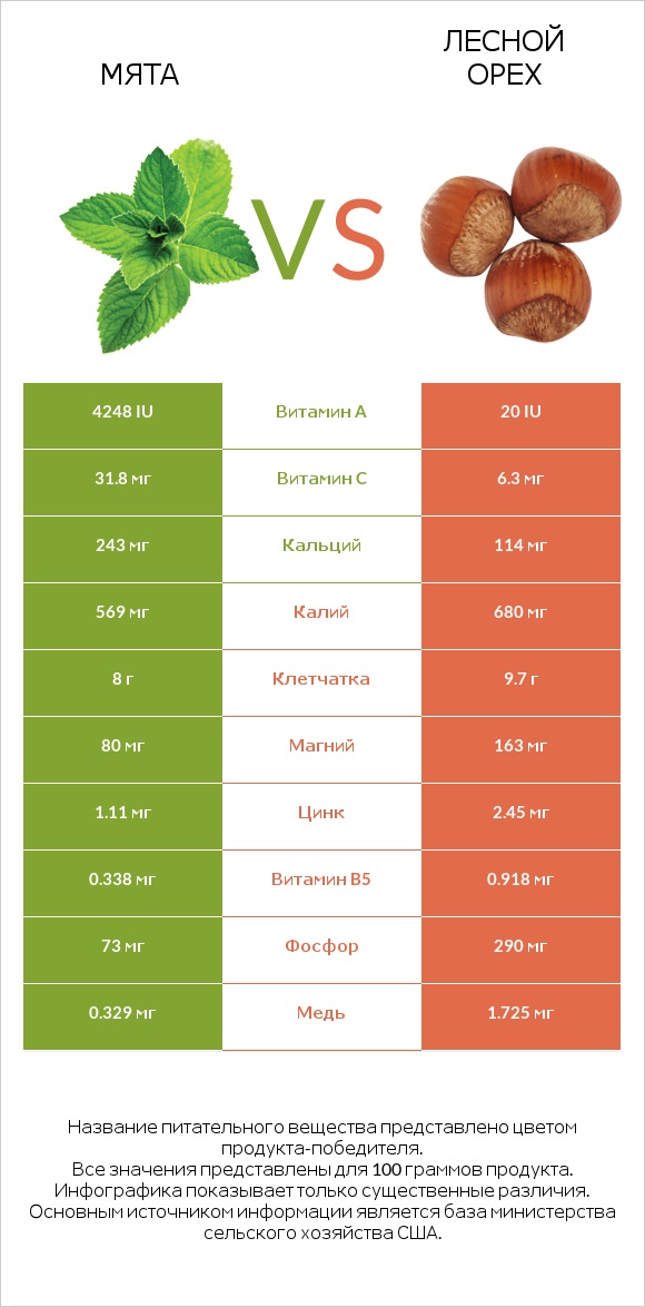 Мята vs Лесной орех infographic