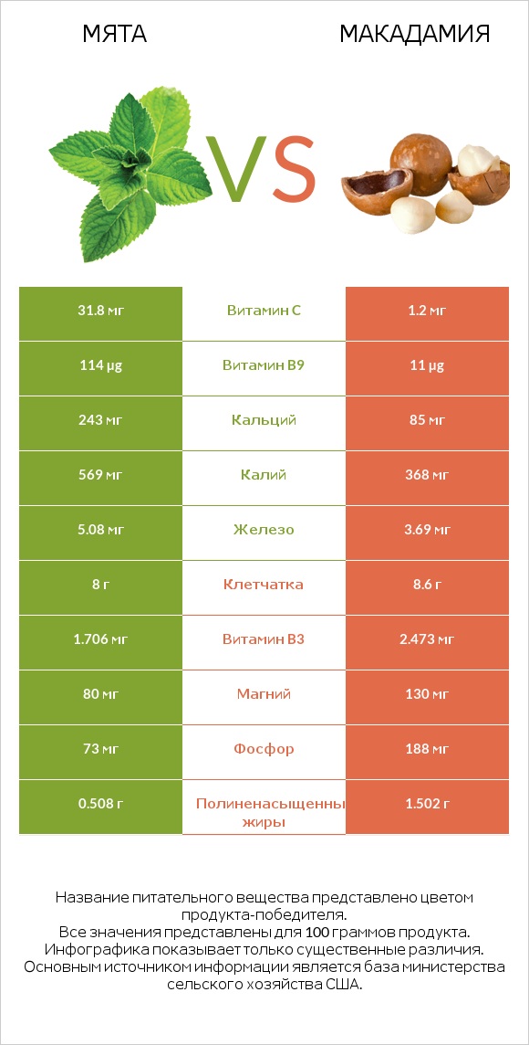 Мята vs Макадамия infographic