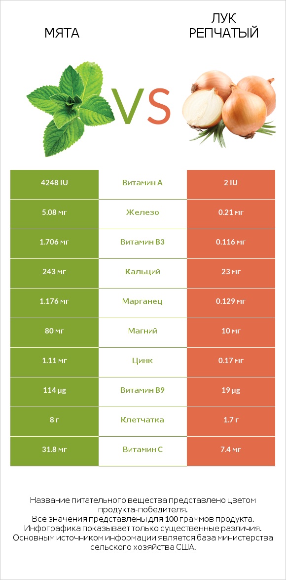 Мята vs Лук репчатый infographic