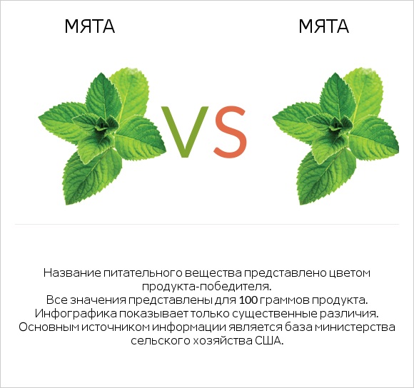 Мята vs Мята infographic