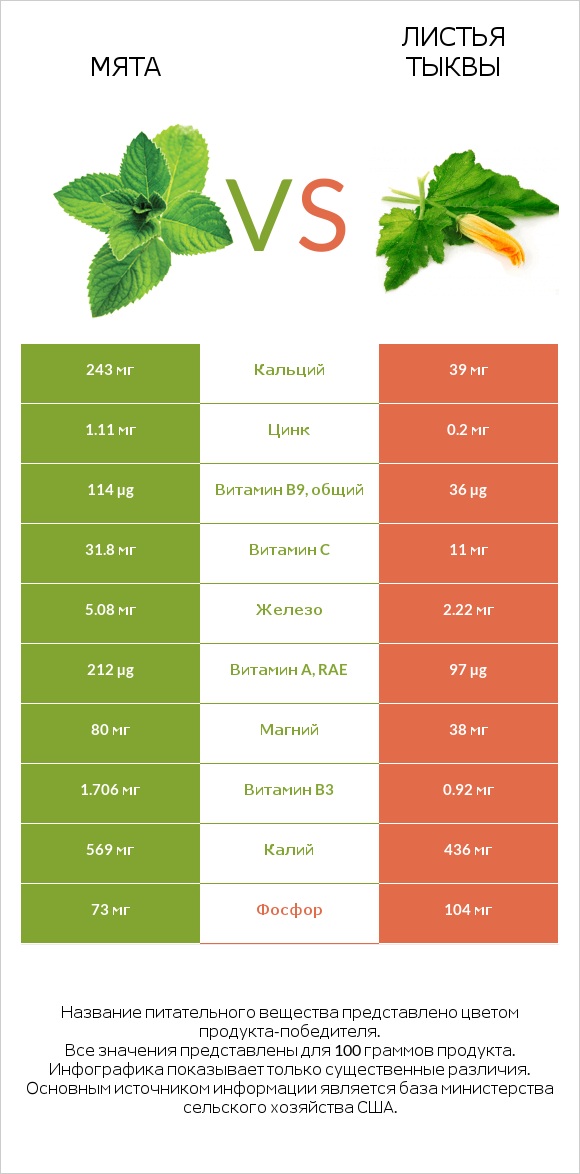 Мята vs Листья тыквы infographic