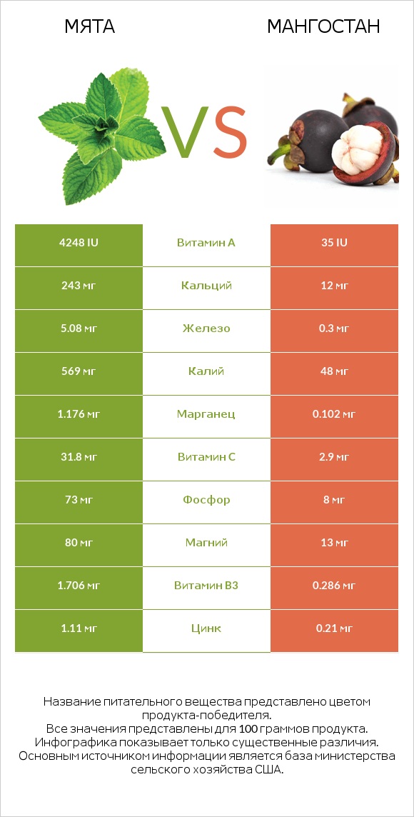 Мята vs Мангостан infographic