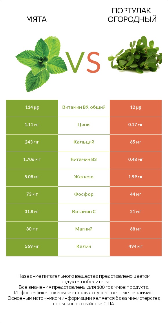 Мята vs Портулак огородный infographic