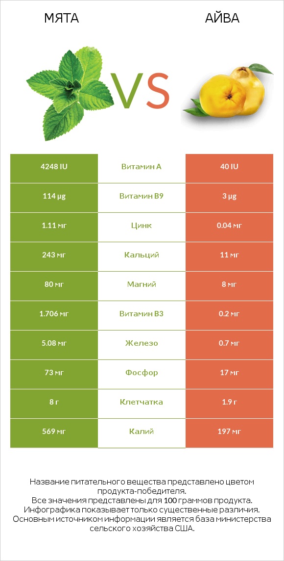 Мята vs Айва infographic