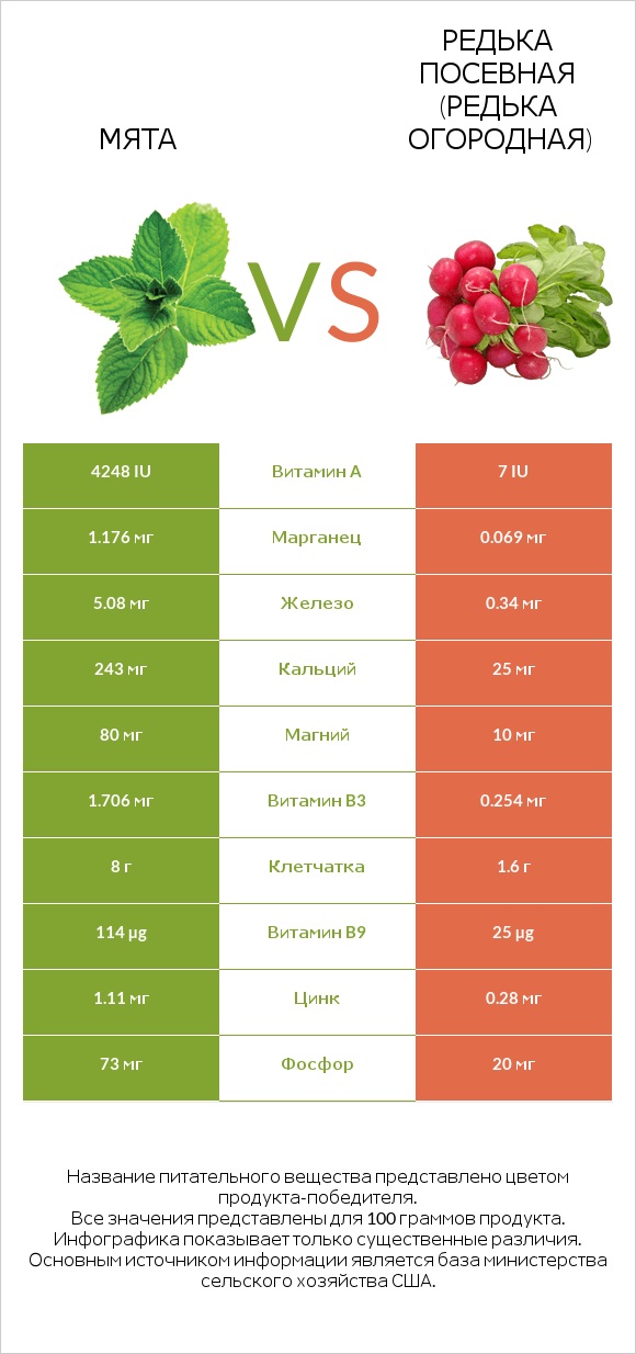 Мята vs Редька посевная (Редька огородная) infographic