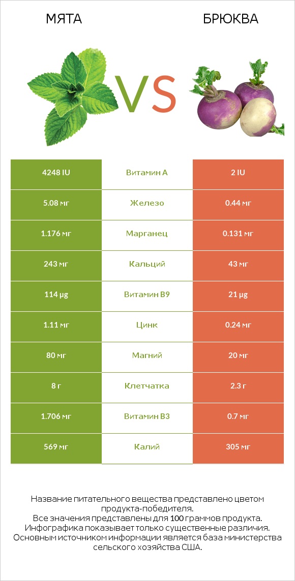 Мята vs Брюква infographic