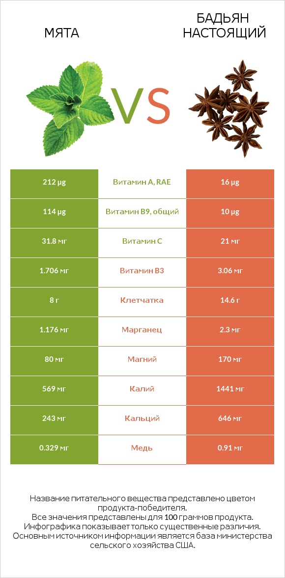 Мята vs Бадьян настоящий infographic