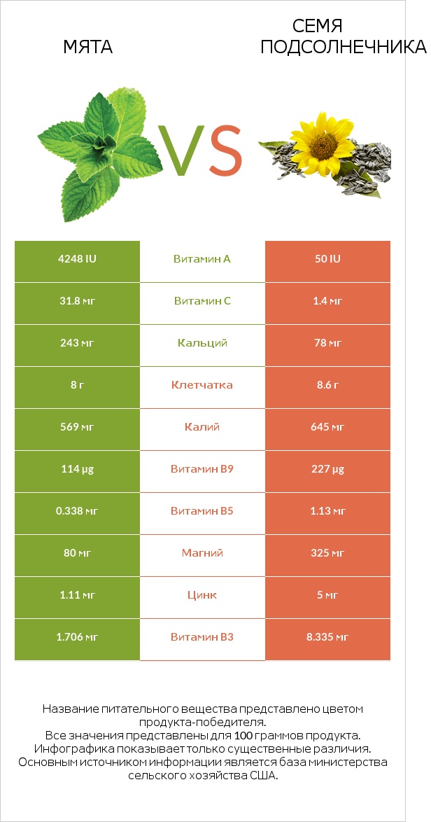 Мята vs Семя подсолнечника infographic
