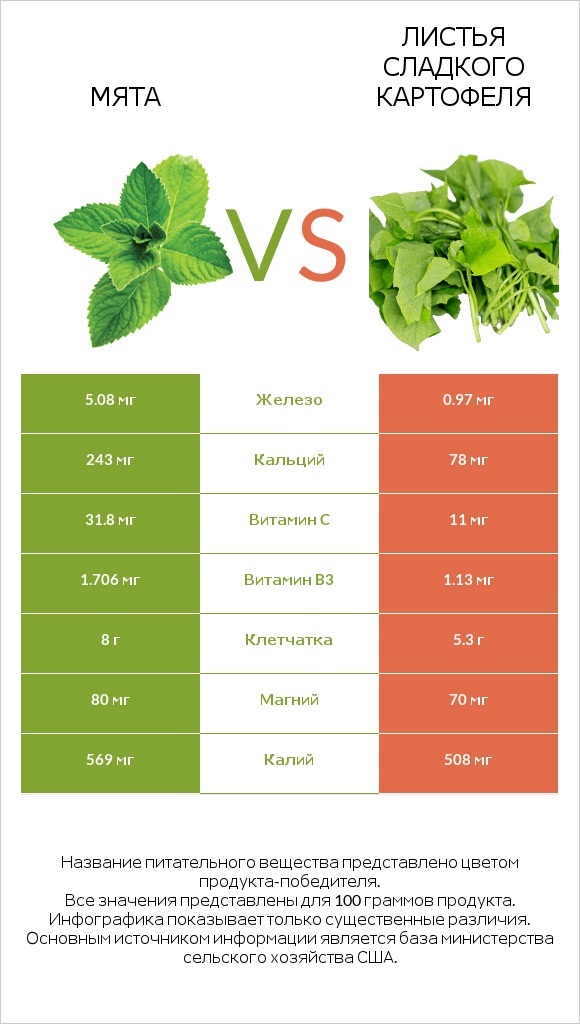 Мята vs Листья сладкого картофеля infographic