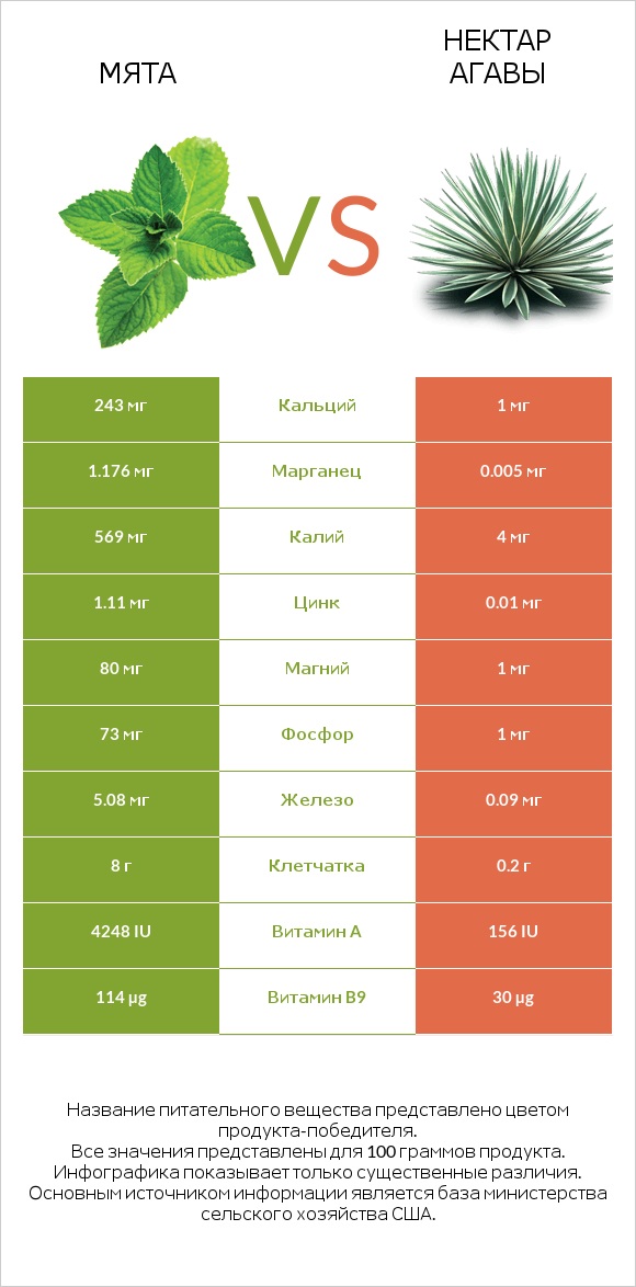 Мята vs Нектар агавы infographic