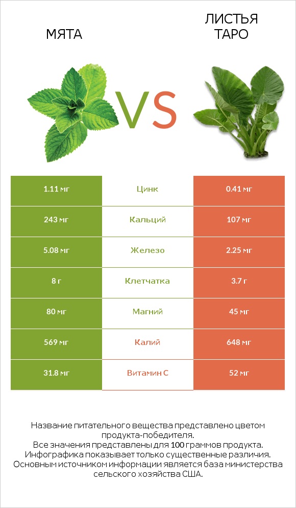 Мята vs Листья Таро infographic