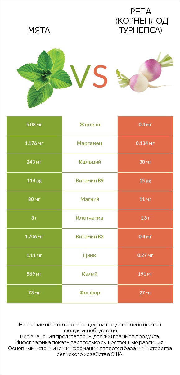 Мята vs Репа (корнеплод турнепса) infographic